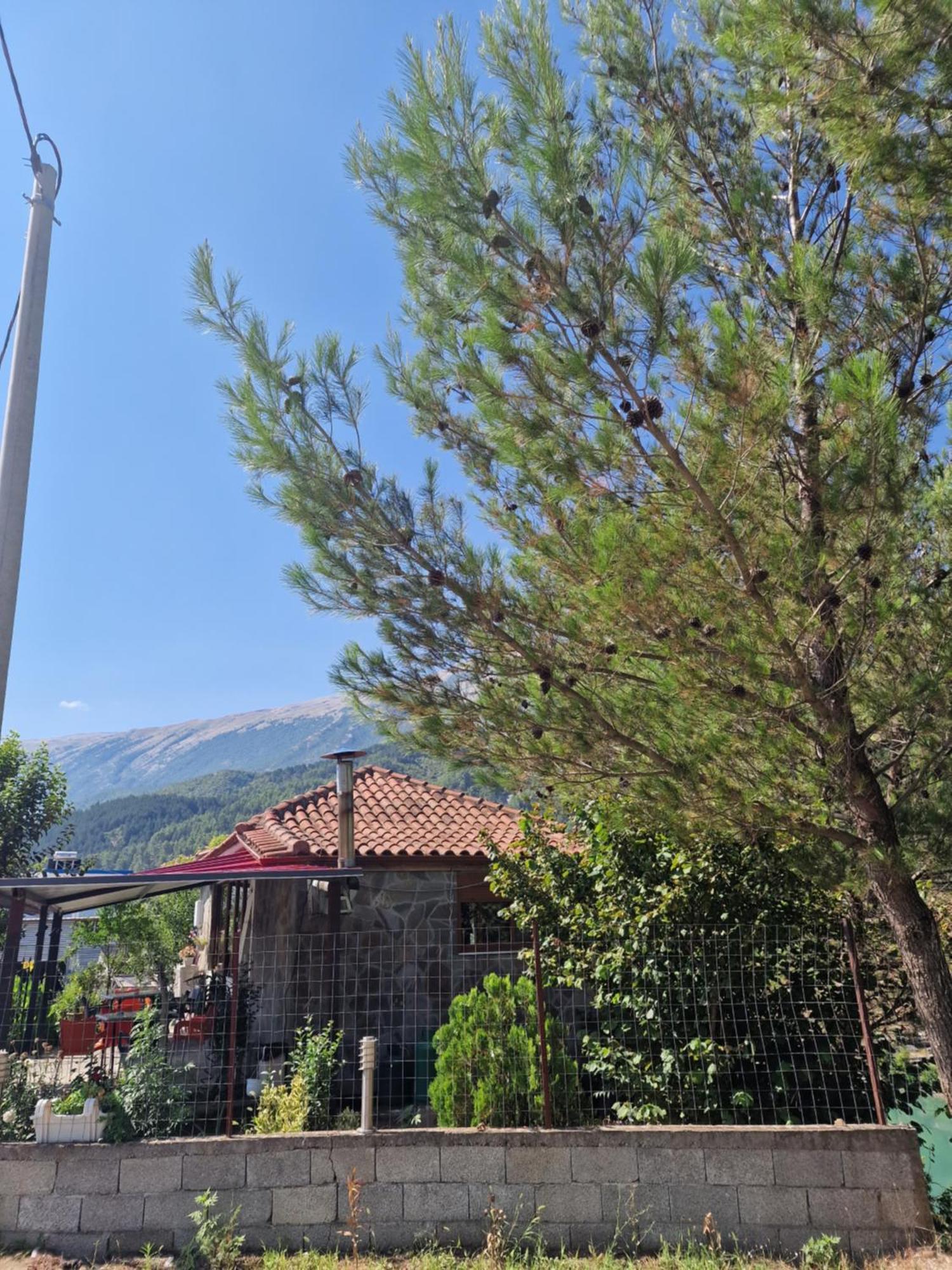 Guest House Krishen Permet Exterior photo